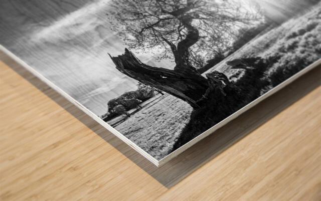 Fotodruck auf Holz